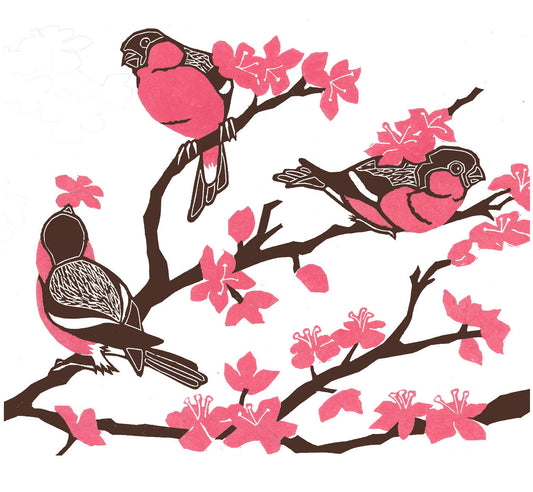 Bullfinch Linocut by Artist Marliese Richmond of Three Bears Prints