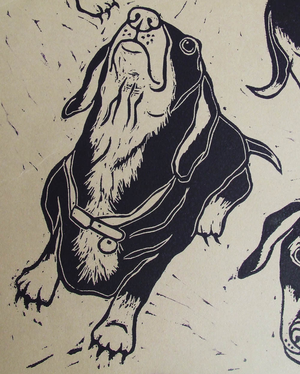 Dachshund Handmade Print - Close Up