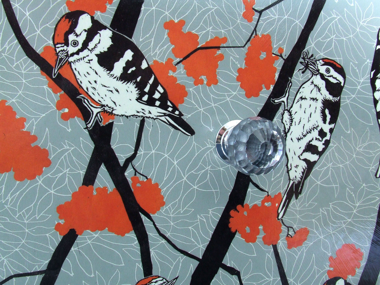 woodpecker and orange berries wallpaper