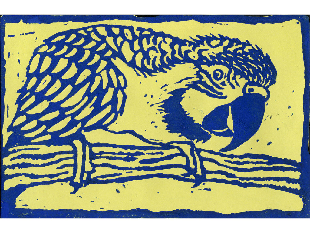 Macaw Magic