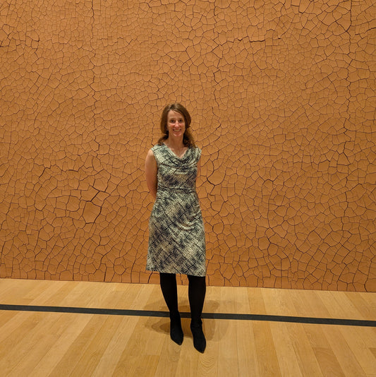 Andy Goldsworthy Retrospective