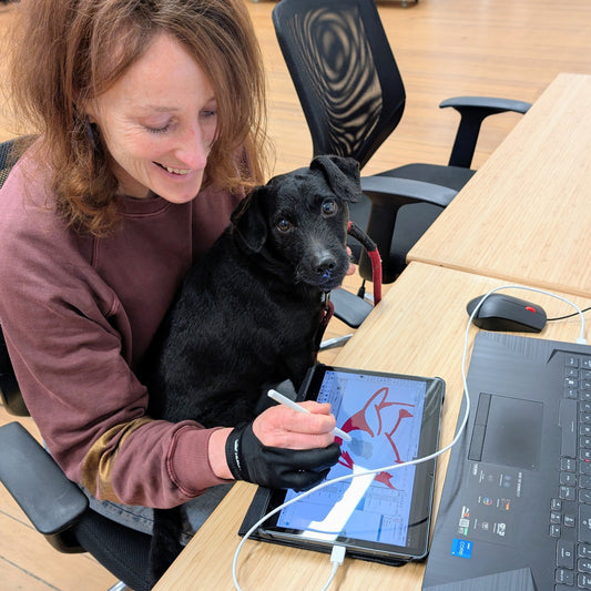 Samsung Galaxy Tablet and Second Screen