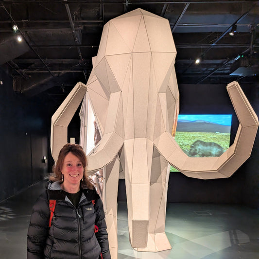 Giants Exhibition - National Museum Edinburgh