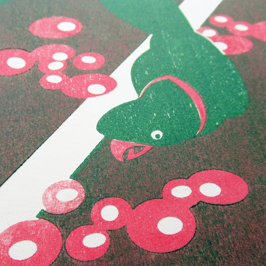 Woodcut Parakeet Experiment