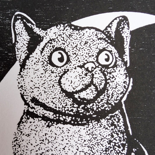 Close up of cat on half moon