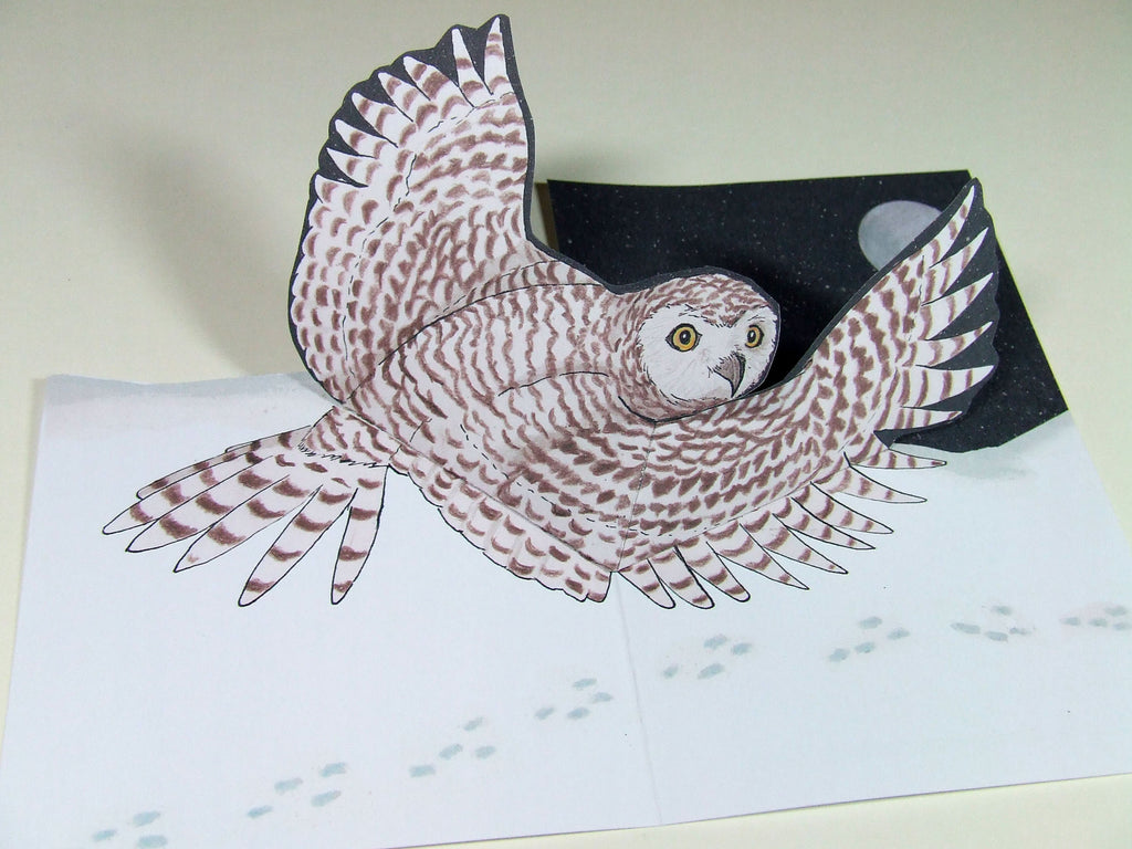 Snowy Owl Pop Up Card