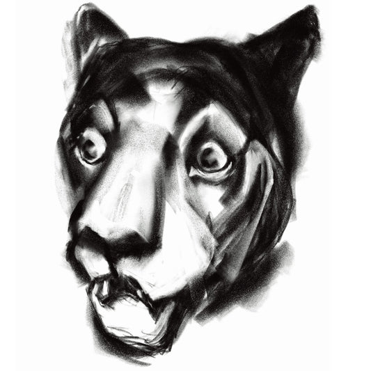 Beginner's Thoughts on Drawing on a Tablet