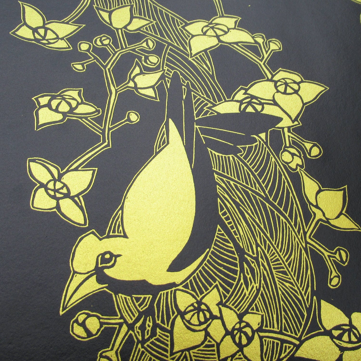 Perth Museum Bird Designs
