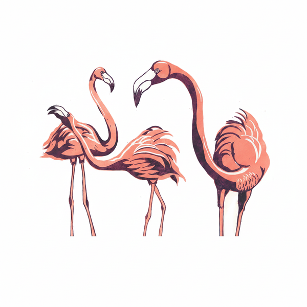 Flamingoes on white square background