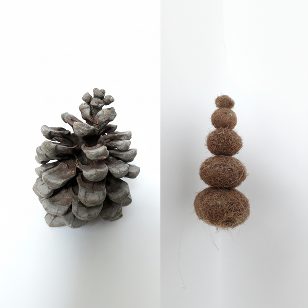 Pine cone and seed balls on white square background