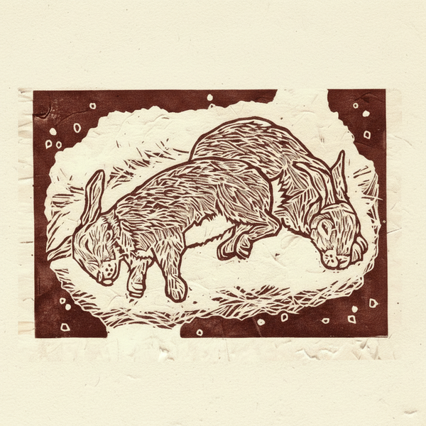 Rabbits tightly cropped square