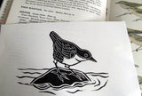 Dipper Linocut Print