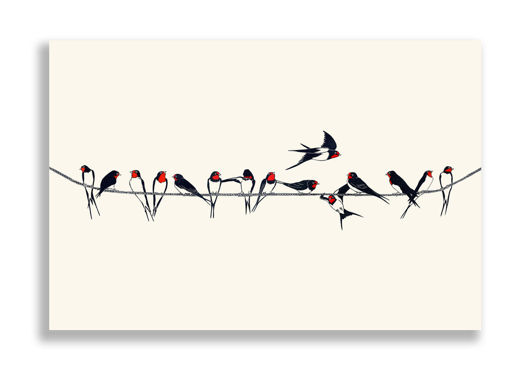 Summer Swallows on Telephone Wire.