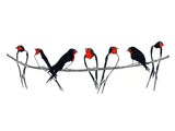 Swallows on Telephone Wire